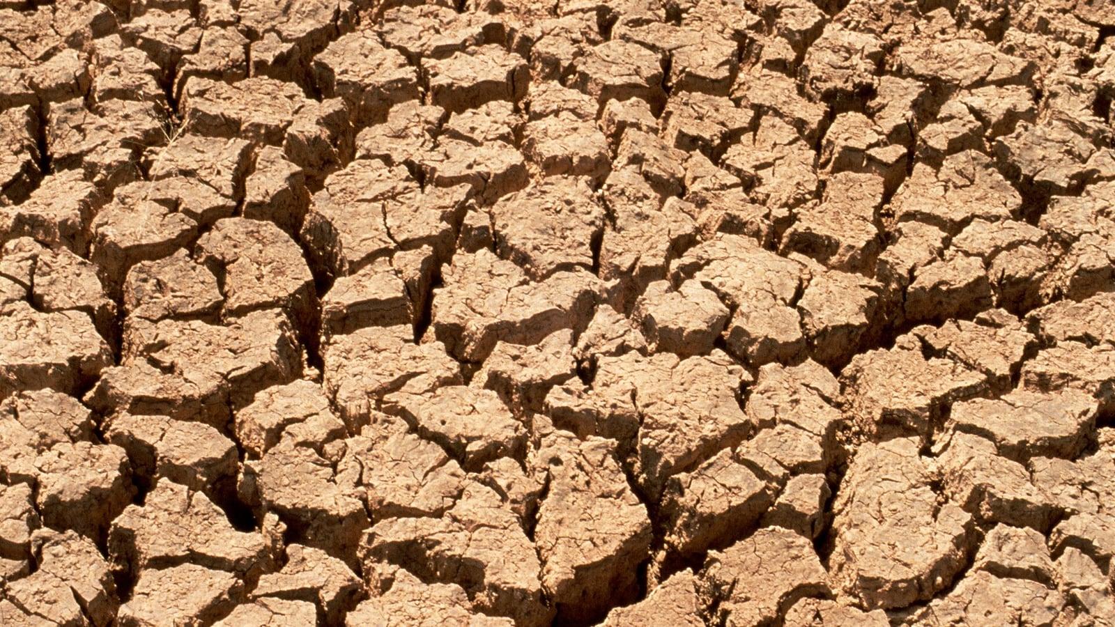 Un sol argileux desséché, découpé en plaques par de profondes crevasses
