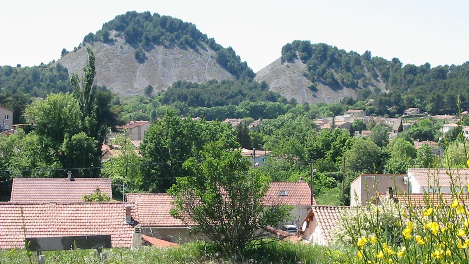 Les toits de tuiles du hameau de Biver, entourés d'arbres, devant les deux terrils boisés de l'ancienne mine