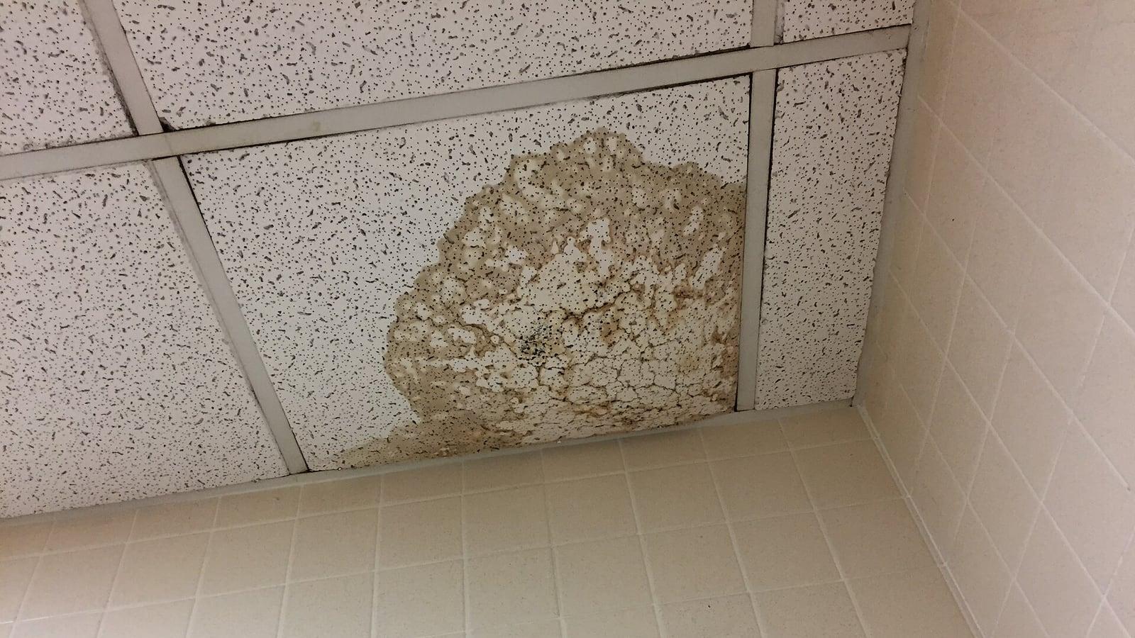 Dalles de faux plafond blanches, dont l'une porte une large tache brune laissée par une infiltration d'eau, au-dessus d'un mur carrelé