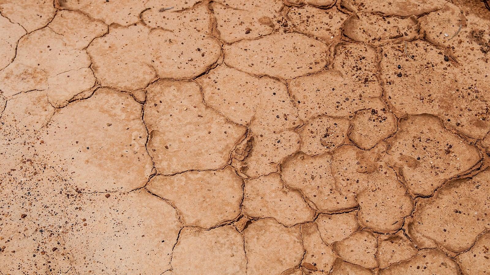 Un sol desséché, d'un brun orangé, découpé en plaques par un réseau de fissures