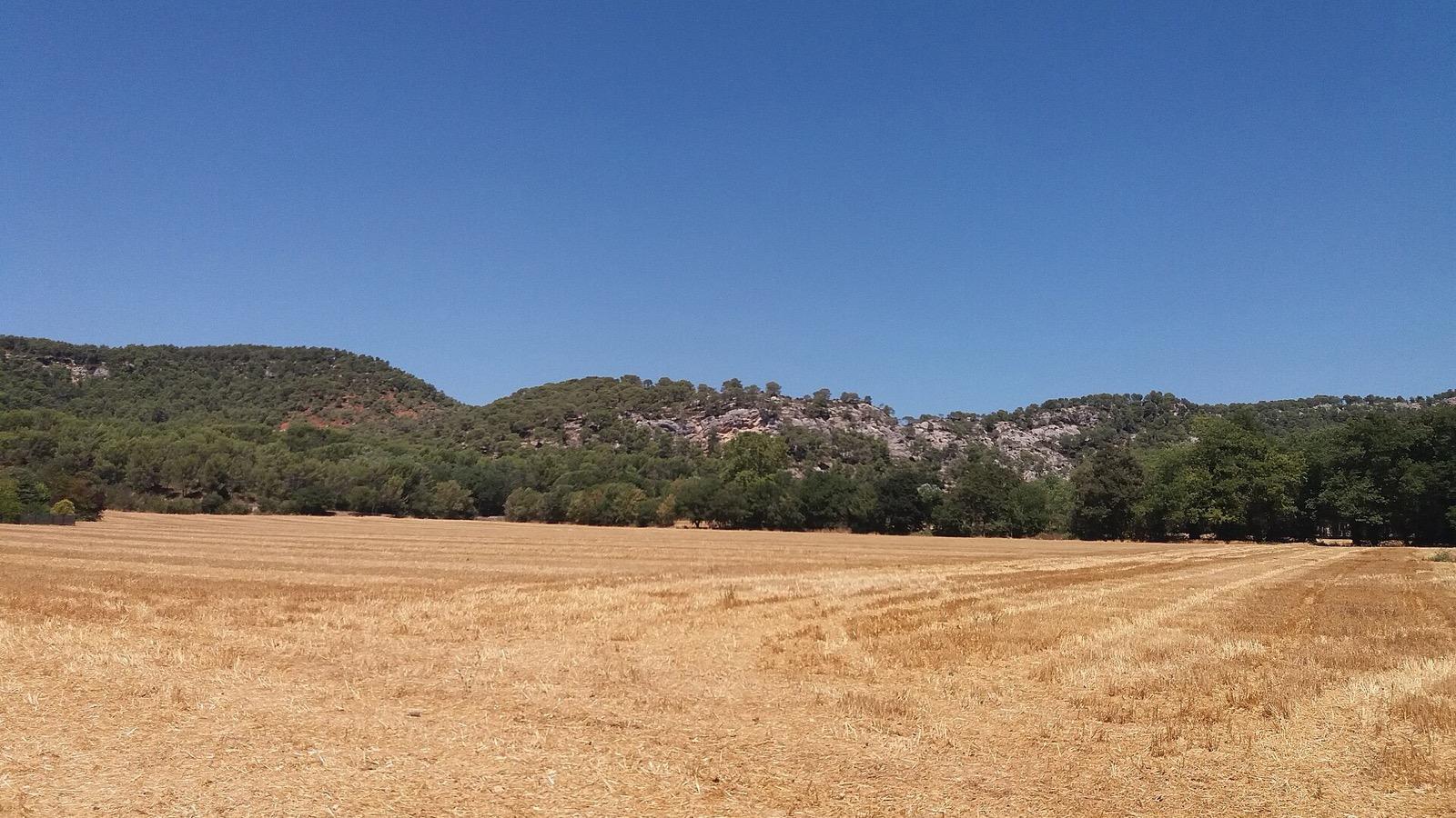 Vue du Tholonet