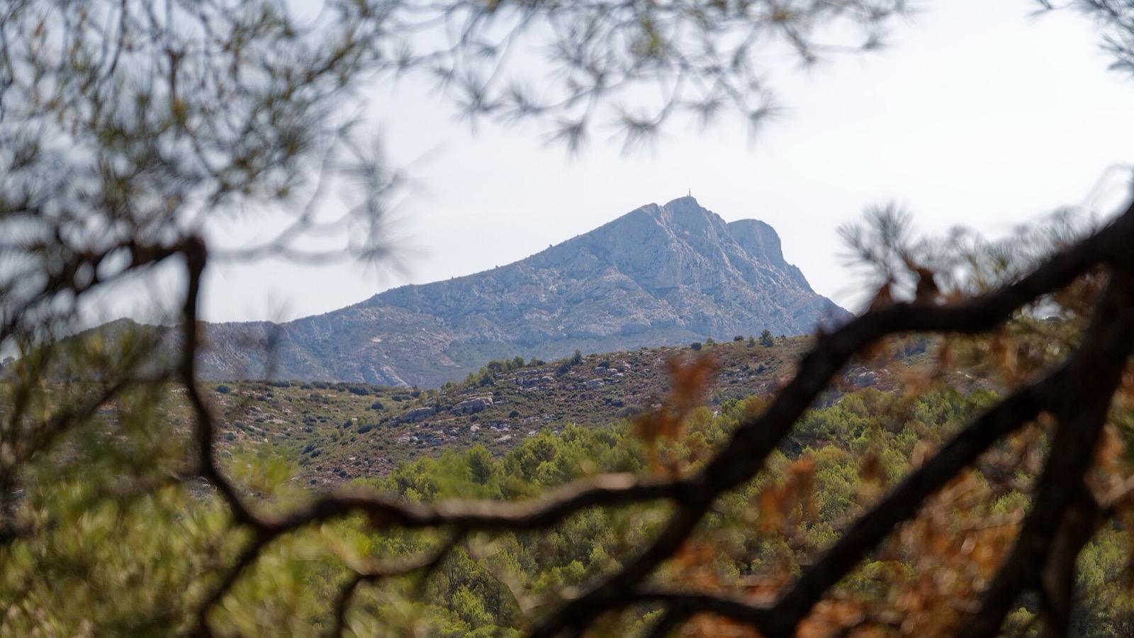 Massif de la Sainte-Victoire et forêt méditerranéenne vus depuis Le Tholonet