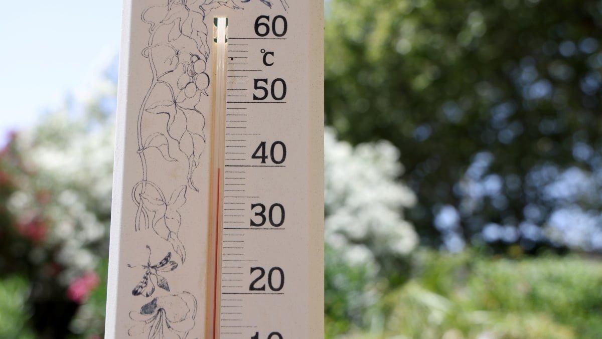 Un thermomètre par forte chaleur