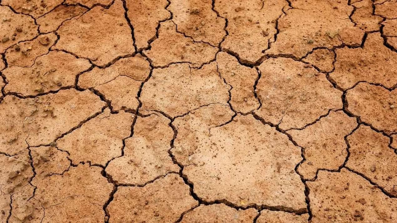 Une terre craquelée par la sécheresse