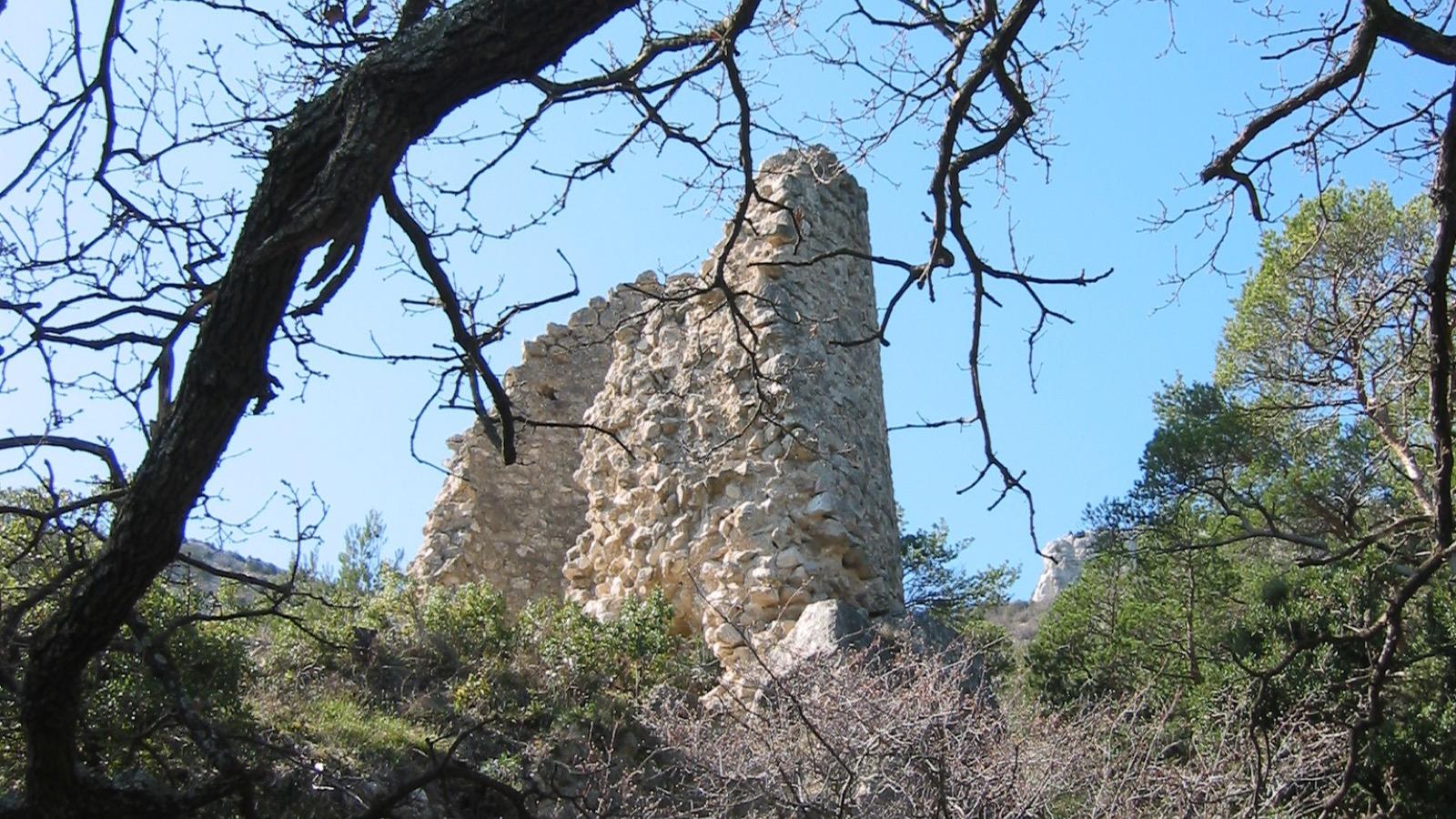 Les ruines du Castellas, à Saint-Savournin