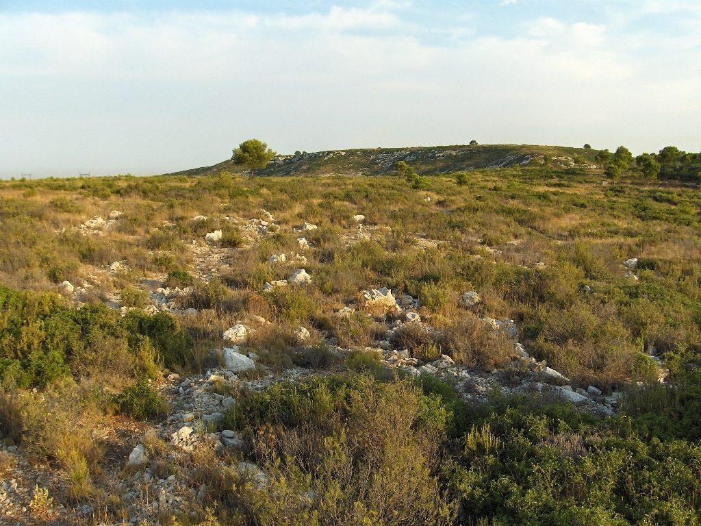 Un paysage de garrigue provençale
