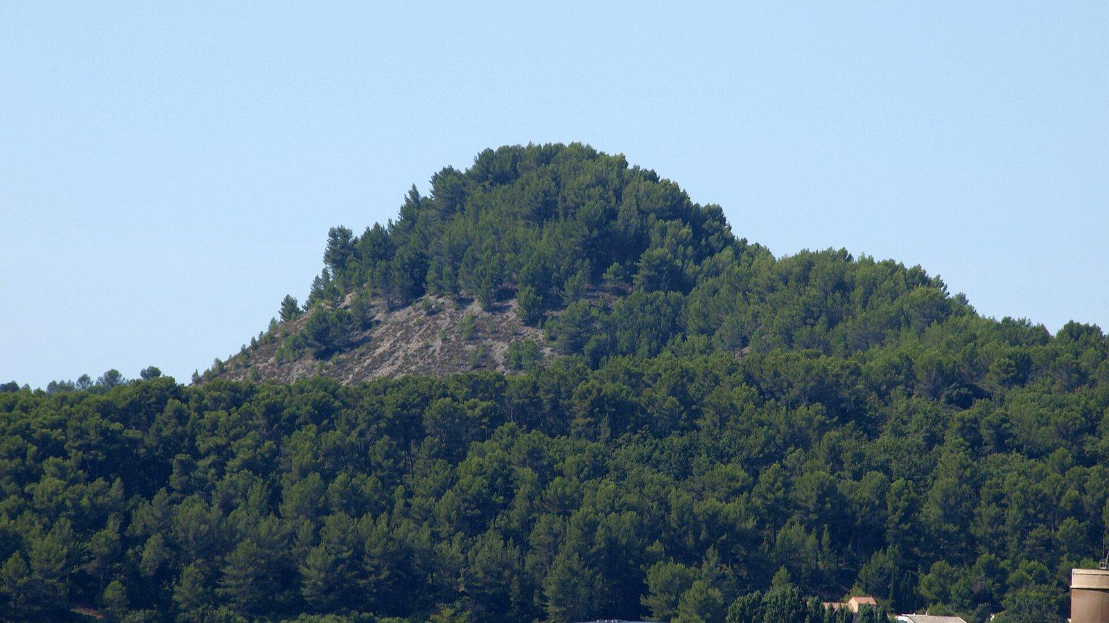 Un terril couvert de pins domine les toits d'un quartier de Gardanne, sous un ciel bleu