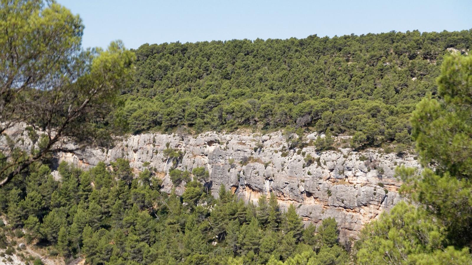 Rocher, au Tholonet