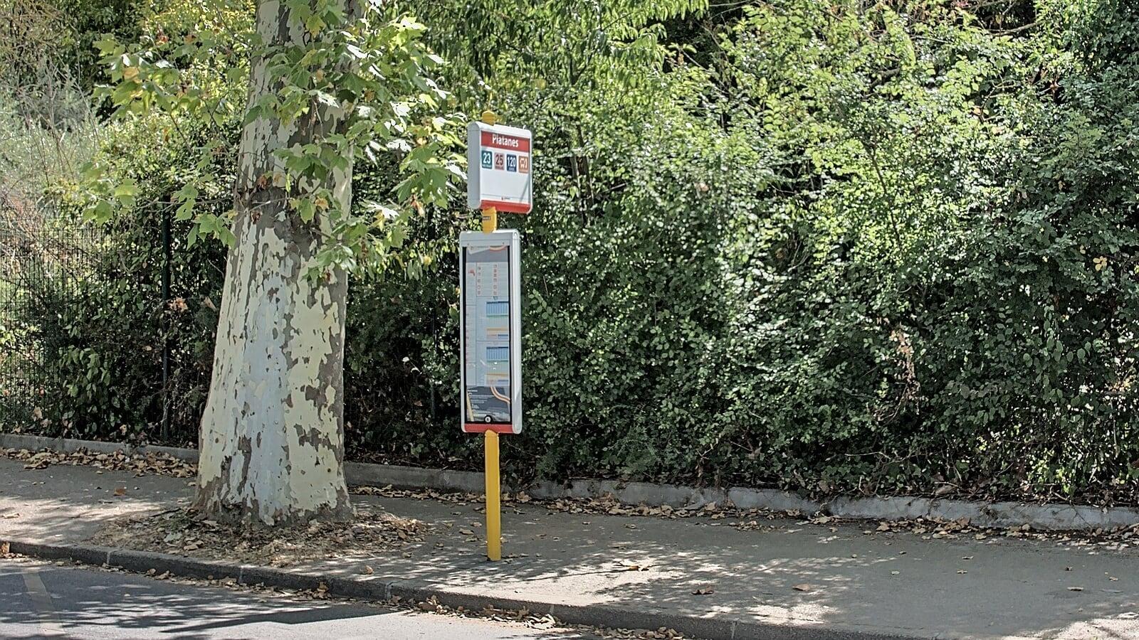Poteau d'arrêt de bus « Platanes » du réseau Aix, avec les numéros des lignes et la fiche horaire, au bord d'un trottoir, près d'un platane