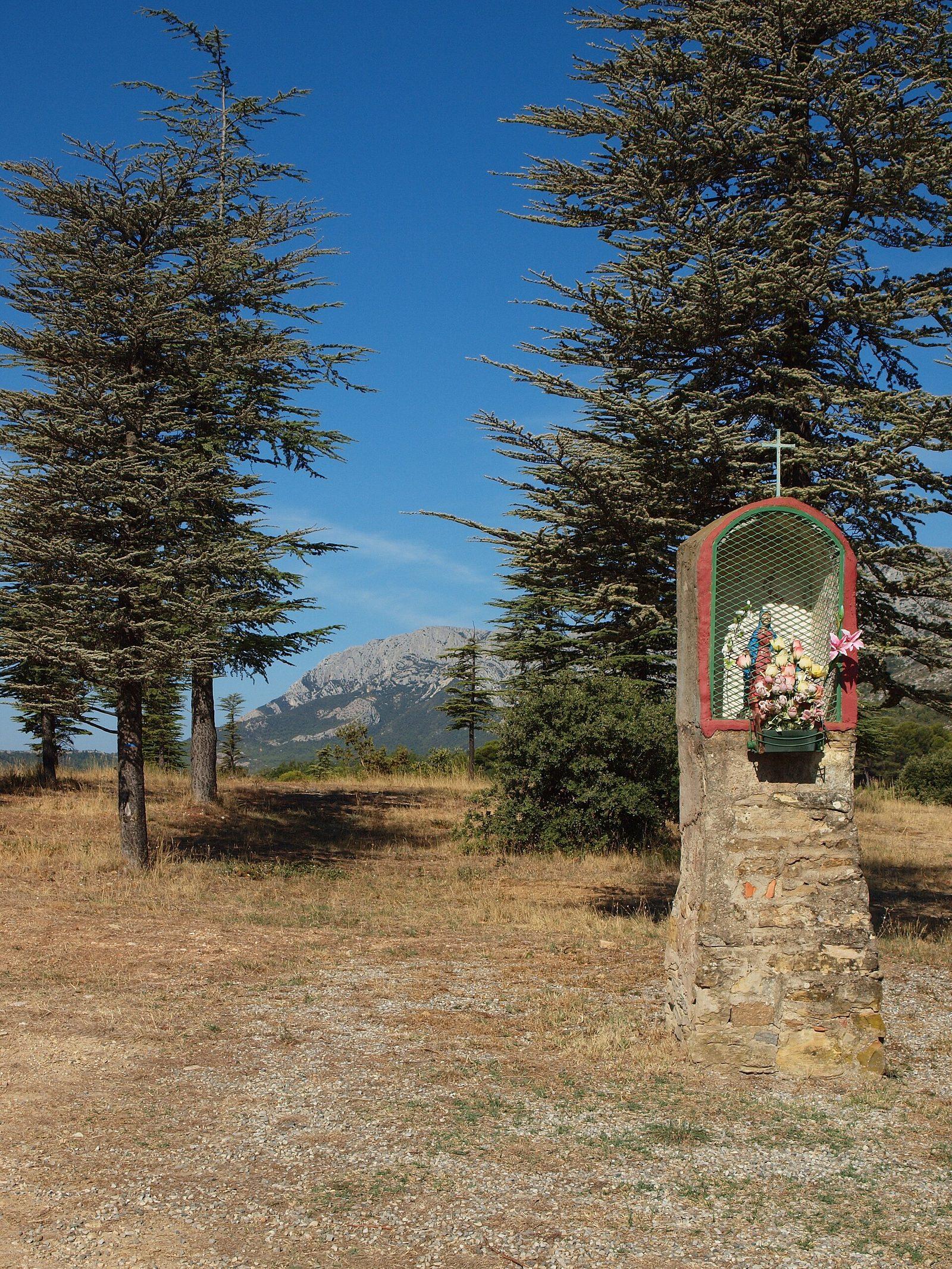 Le Domaine du Capitaine Danjou à Puyloubier