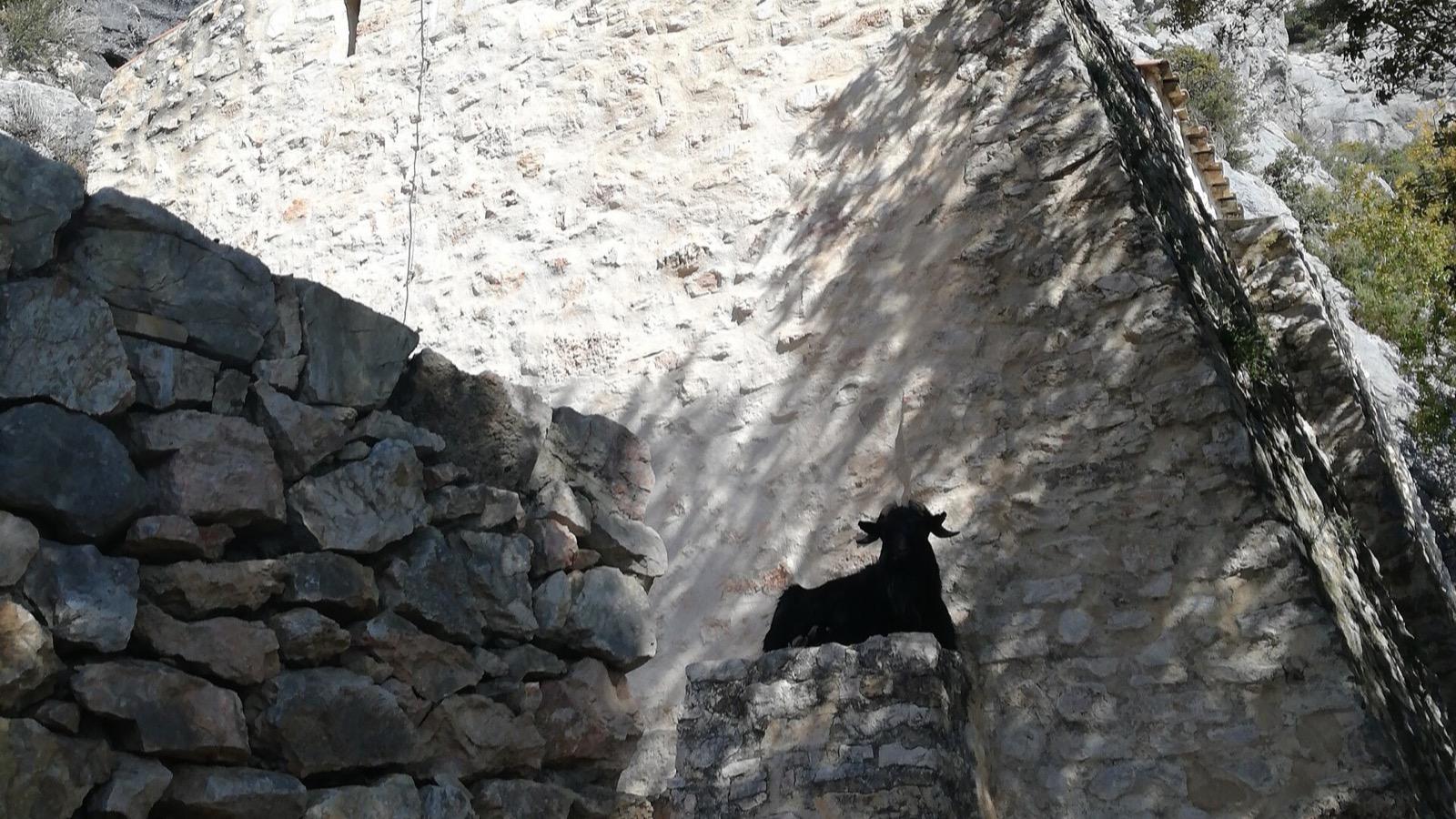 L'ermitage saint ser sainte victoire, à Puyloubier