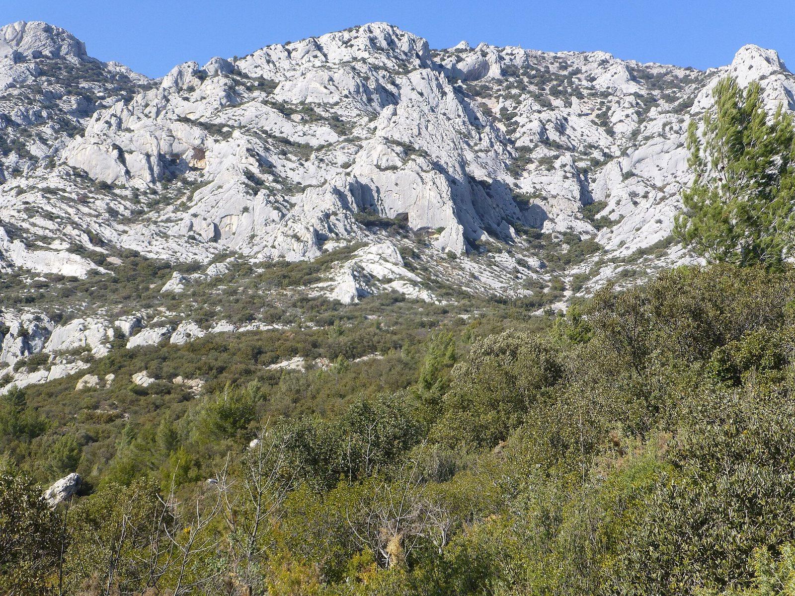 Une vue de Puyloubier